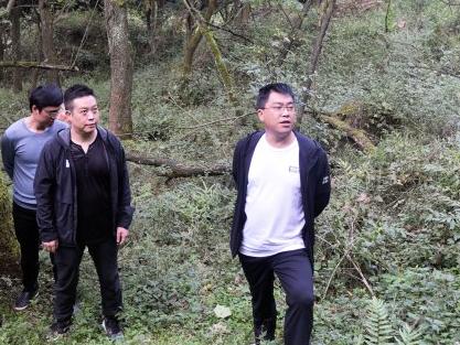 在乌峰山林区巡林.jpg