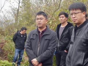 实地调研指导.jpg