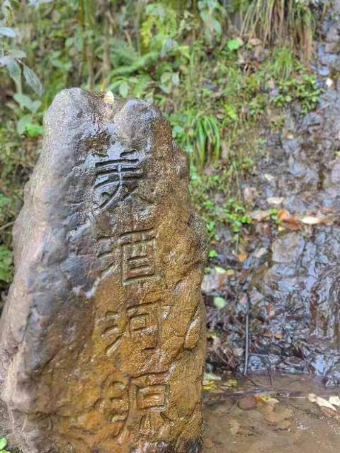 微信图片_20240311095811.jpg