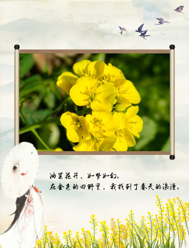 赤水河42.jpg