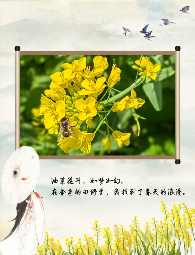 赤水河41.jpg