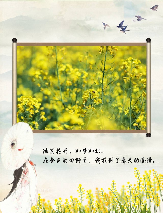 赤水河50.jpg