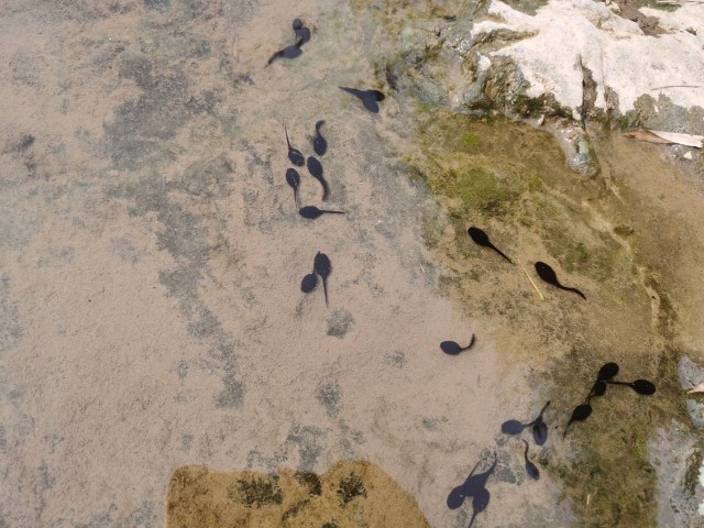 赤水河57.jpg