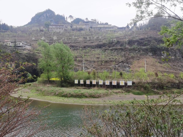 赤水河56.jpg