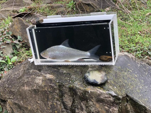 赤水河58.jpg
