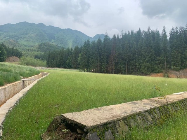 赤水河71.jpg