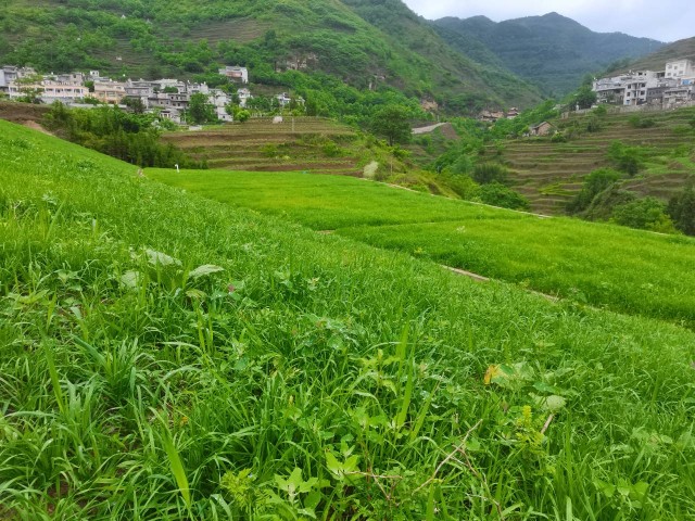 赤水河78.jpg