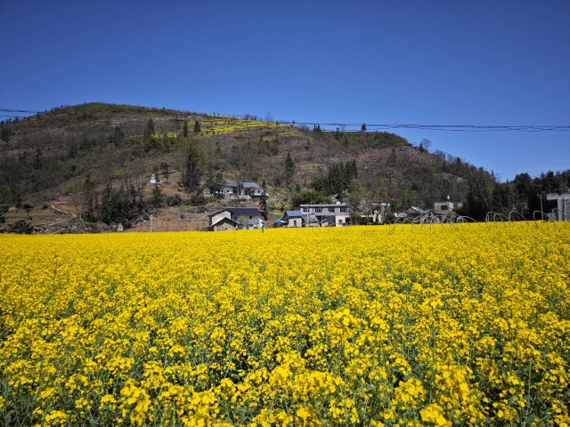 赤水河3.jpg