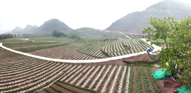 微信图片_20230428141755.jpg