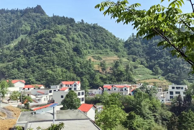 微信图片_20230524124033.jpg