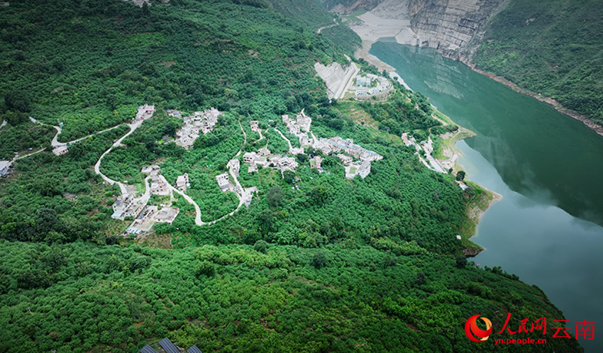 云南省昭通市巧家县包谷垴乡红石岩村花椒绿满山。邓翰超摄