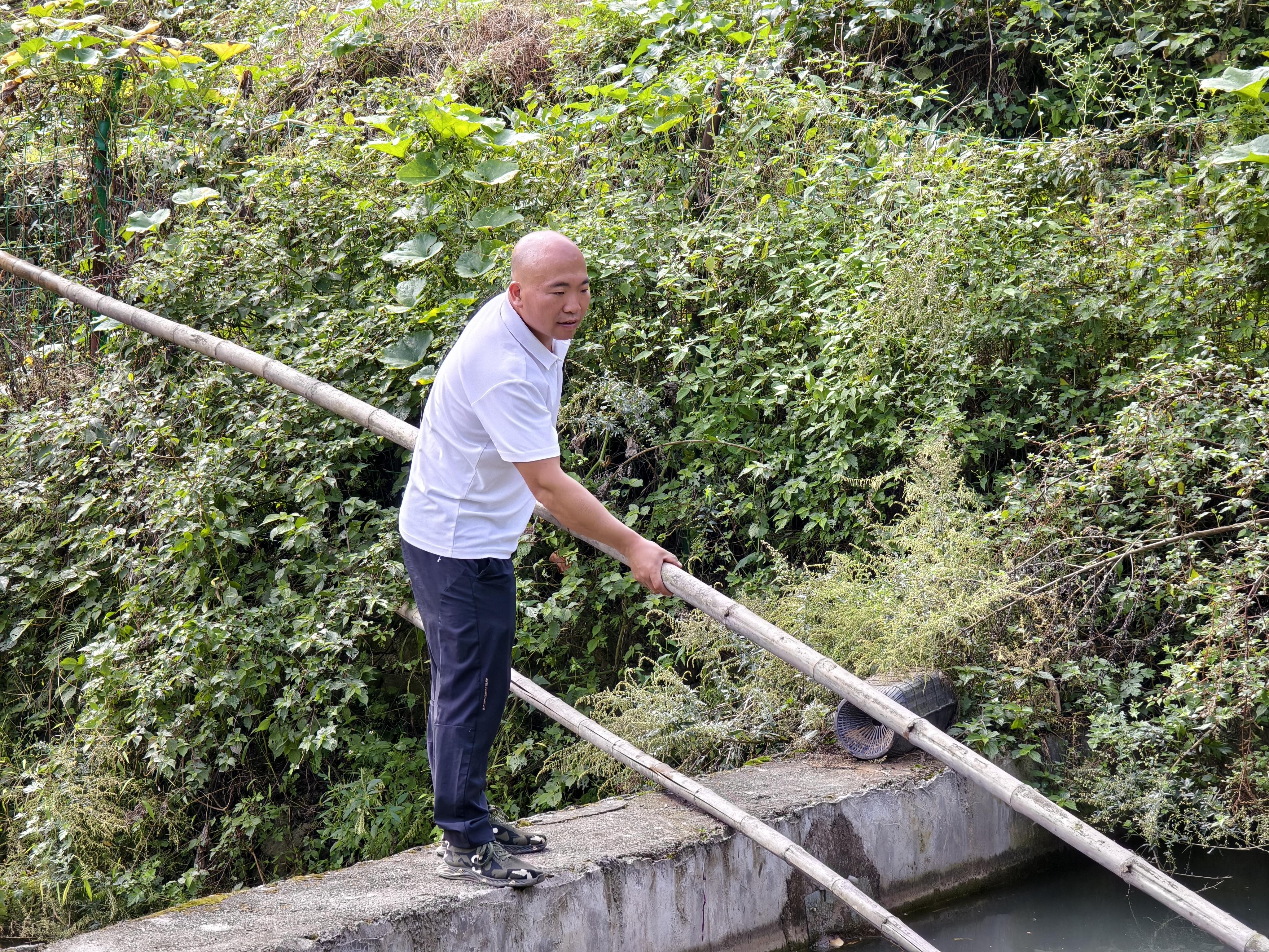 查看养殖鱼类的长势情况